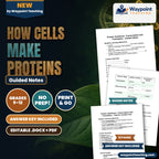 How Cells Make Proteins Guided Notes cover