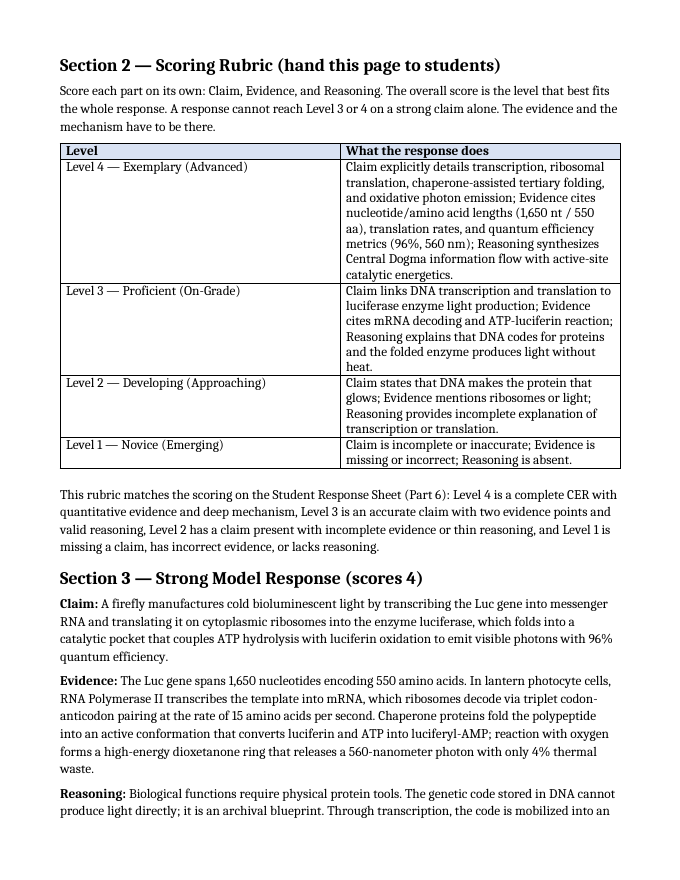 How Cells Make Proteins Model Response & Scoring Guide sample page