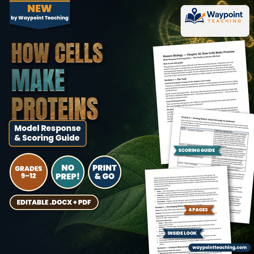 How Cells Make Proteins Model Response & Scoring Guide cover