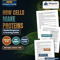 How Cells Make Proteins Model Response & Scoring Guide cover
