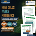 How Cells Make Proteins Phenomena-Based Lesson: Cold Light from the Code: Translating the Firefly's Bioluminescent Flash Teacher Discussion Guide cover