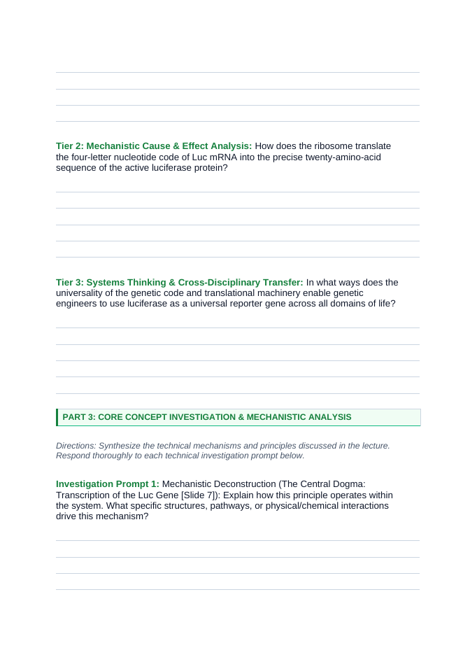 How Cells Make Proteins Phenomena-Based Lesson: Cold Light from the Code: Translating the Firefly's Bioluminescent Flash Student Response Sheet sample page