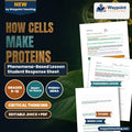 How Cells Make Proteins Phenomena-Based Lesson: Cold Light from the Code: Translating the Firefly's Bioluminescent Flash Student Response Sheet cover