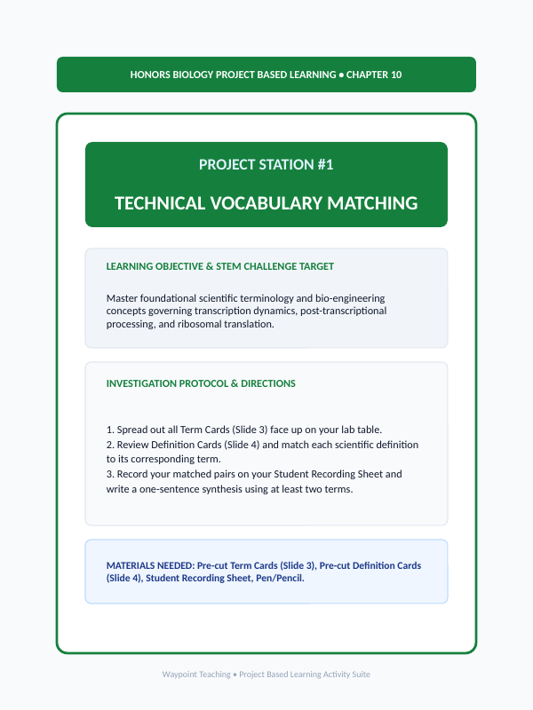 How Cells Make Proteins Project-Based Learning Activity sample page