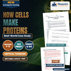 How Cells Make Proteins Real-World Case Study cover