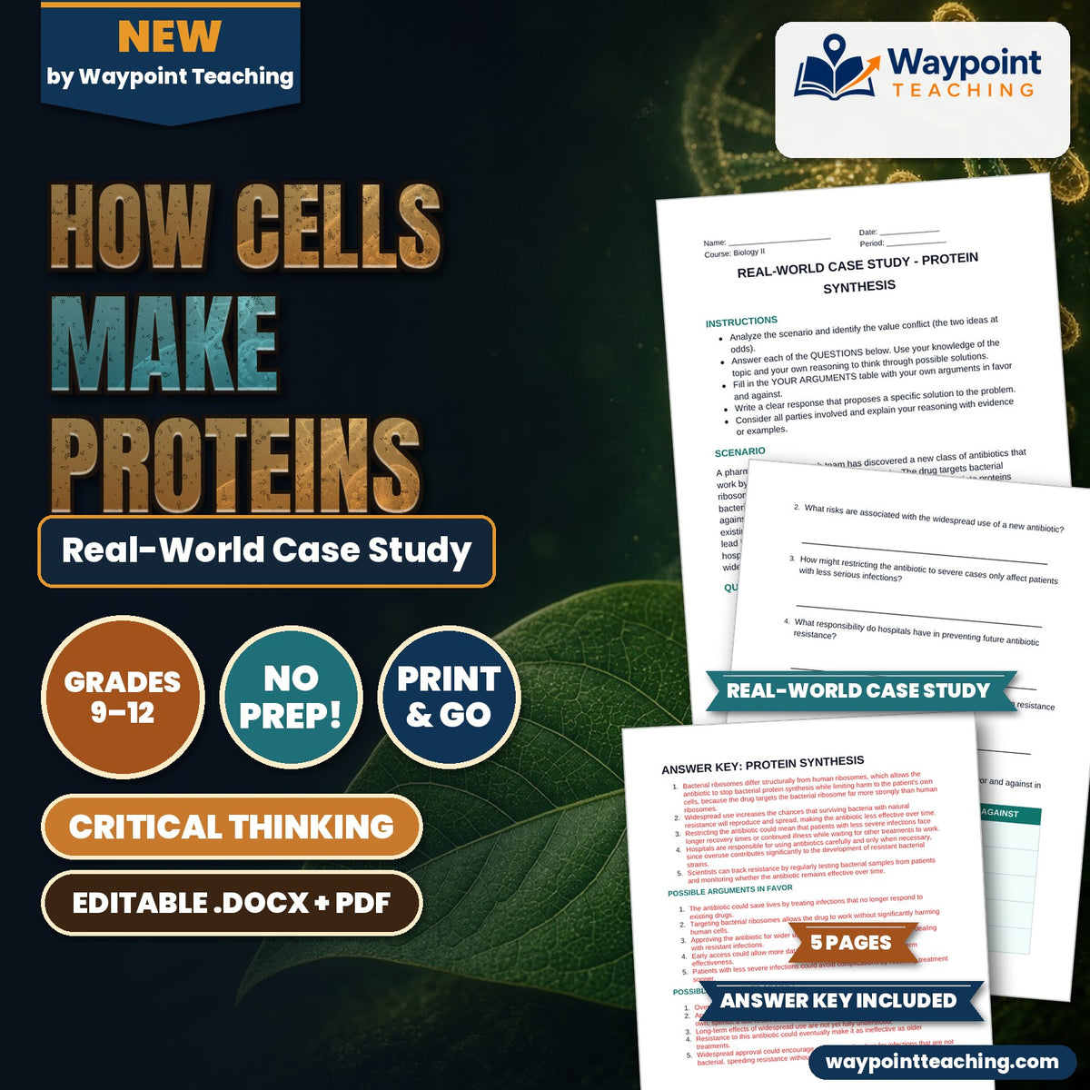 How Cells Make Proteins Real-World Case Study cover