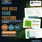 How Cells Make Proteins Scaffolded Phenomena-Based Lesson: Cold Light from the Code: Translating the Firefly's Bioluminescent Flash Presentation cover