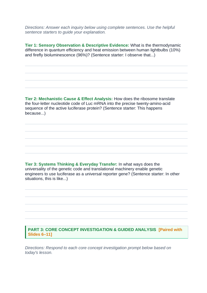 How Cells Make Proteins Scaffolded Phenomena-Based Lesson: Cold Light from the Code: Translating the Firefly's Bioluminescent Flash Student Response Sheet sample page
