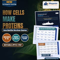 How Cells Make Proteins Sea Battle Review Game cover