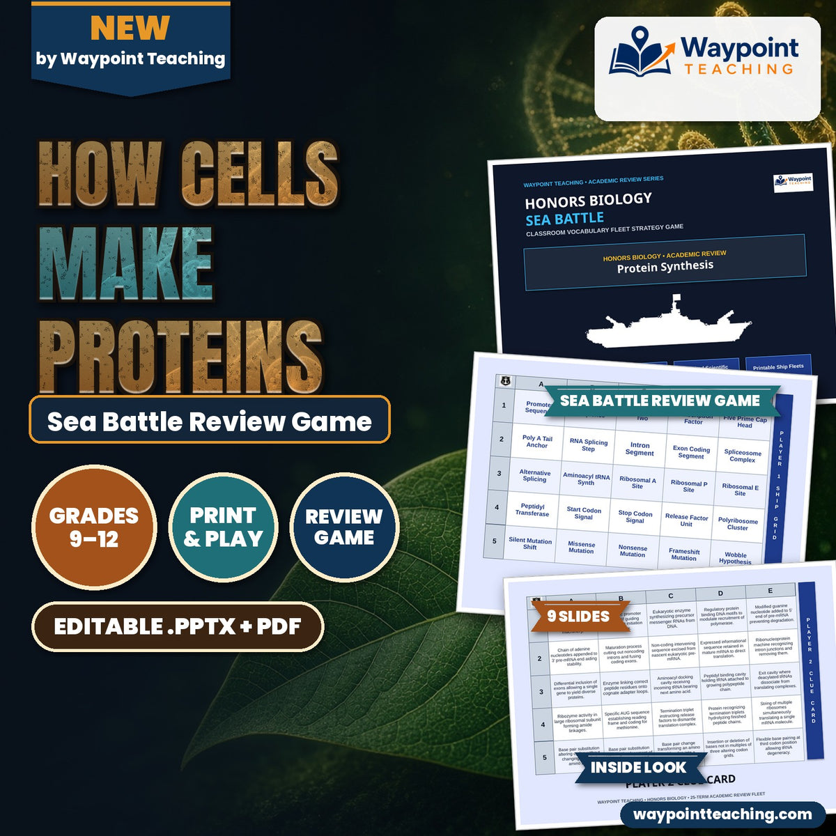How Cells Make Proteins Sea Battle Review Game cover