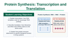 How Cells Make Proteins Slide Show Presentation sample page