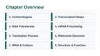 How Cells Make Proteins Slide Show Presentation sample page