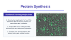 How Cells Make Proteins Slide Show Presentation sample page