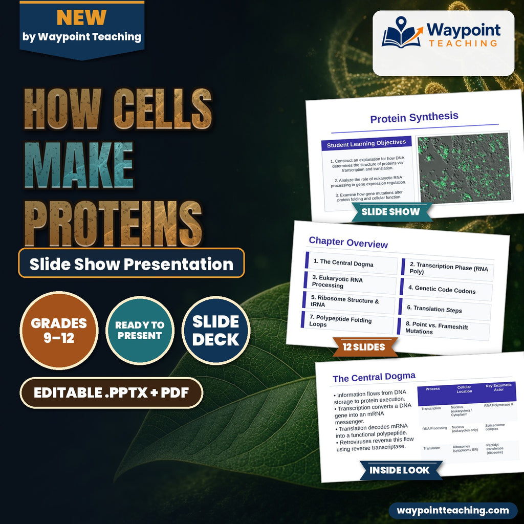 How Cells Make Proteins Slide Show Presentation cover