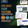 How Cells Make Proteins Slide Show Presentation cover