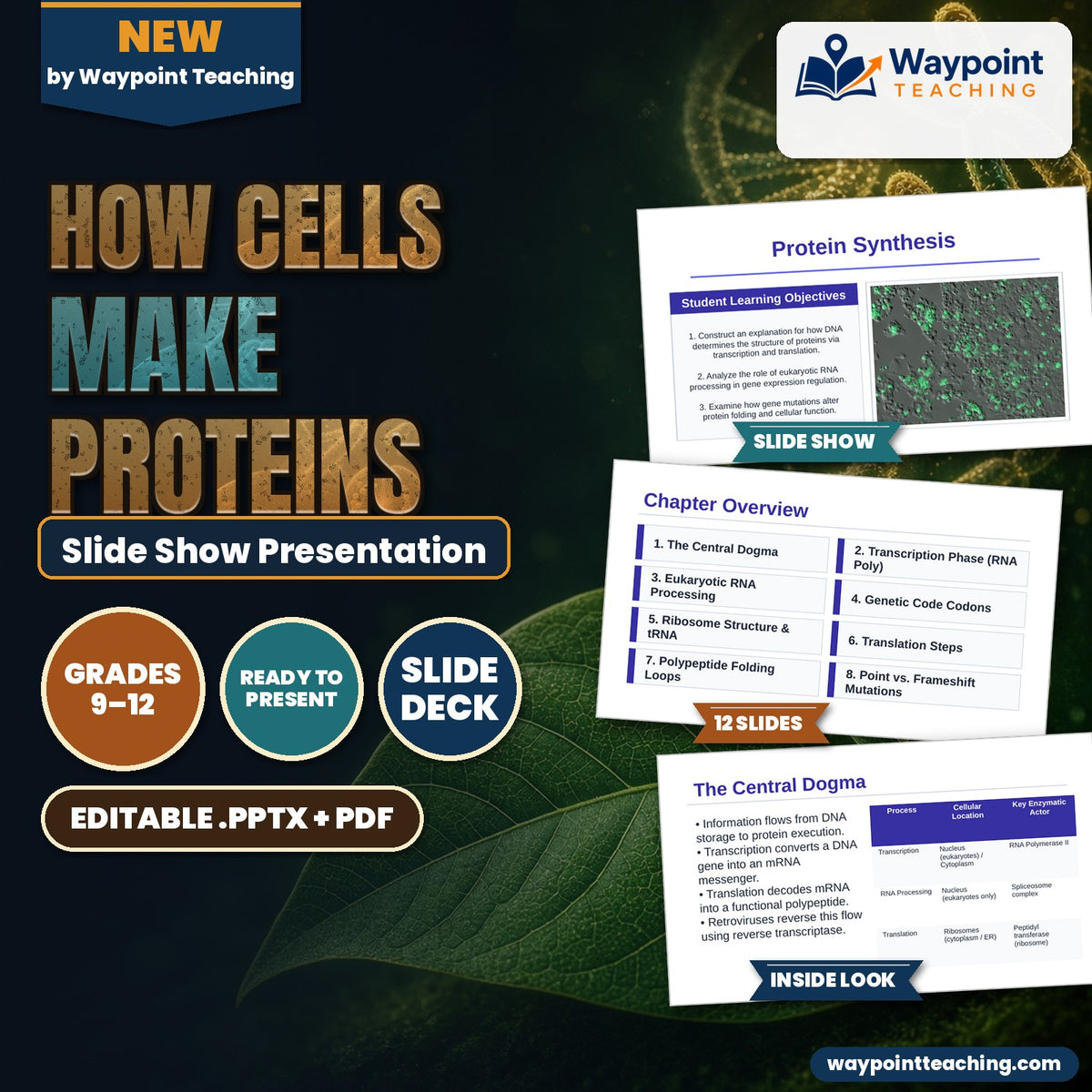How Cells Make Proteins Slide Show Presentation cover