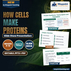 How Cells Make Proteins Slide Show Presentation cover