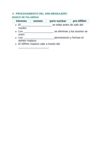 How Cells Make Proteins Spanish Guided Notes sample page