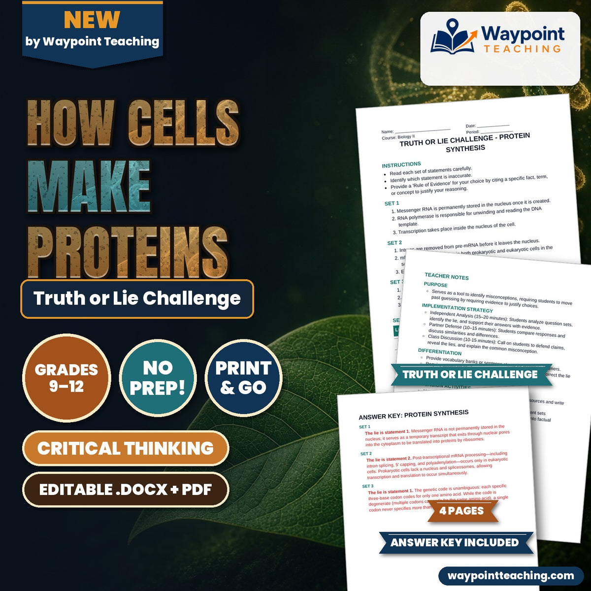 How Cells Make Proteins Truth or Lie Challenge cover