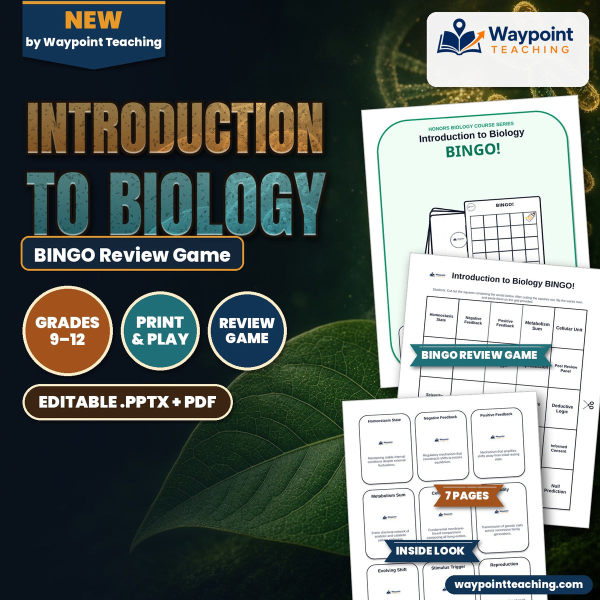 Introduction to Biology BINGO Review Game cover