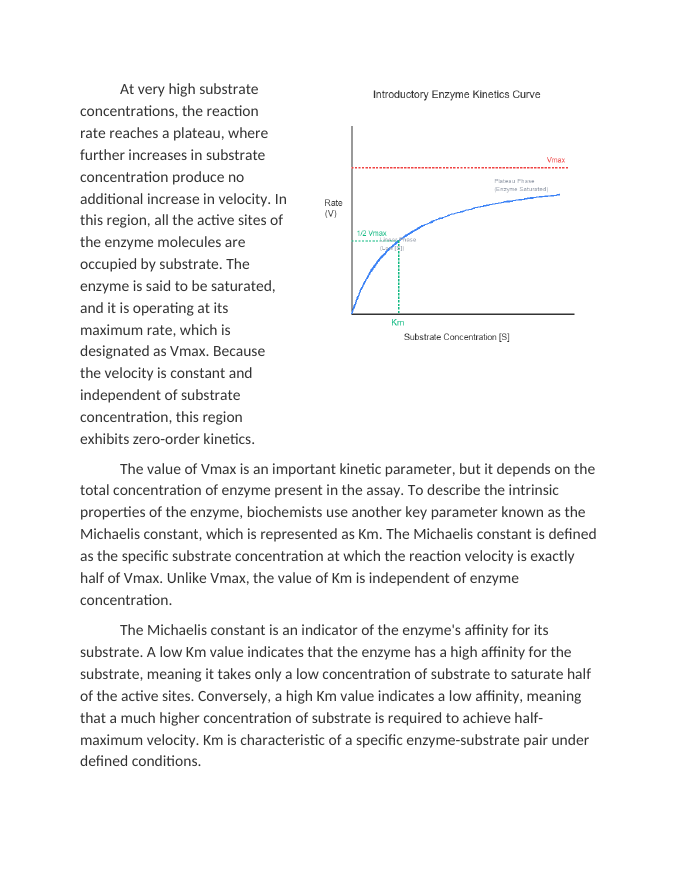 Introductory Enzyme Kinetics and Reaction Rates Reading Worksheet sample page
