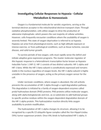 Investigating Cellular Responses to Hypoxia Reading Worksheet sample page