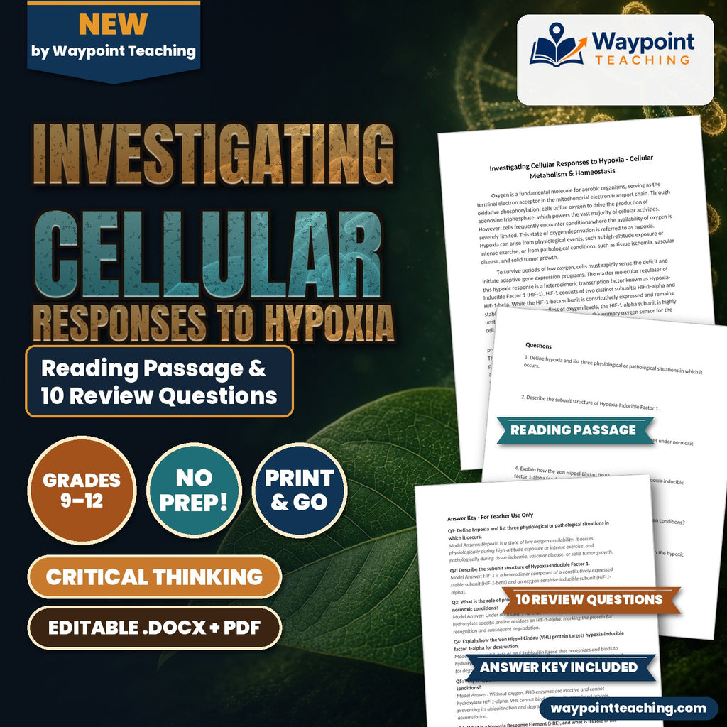 Investigating Cellular Responses to Hypoxia Reading Worksheet cover