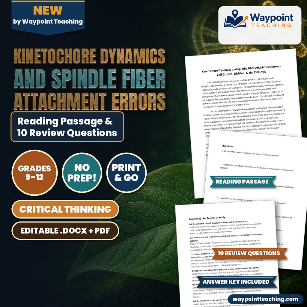 Kinetochore Dynamics and Spindle Fiber Attachment Errors Reading Worksheet cover