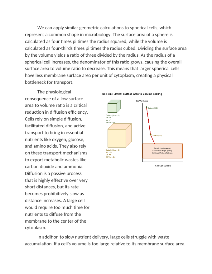 Limits on Cell Size: Advanced Surface Area to Volume Calculations Reading Worksheet sample page