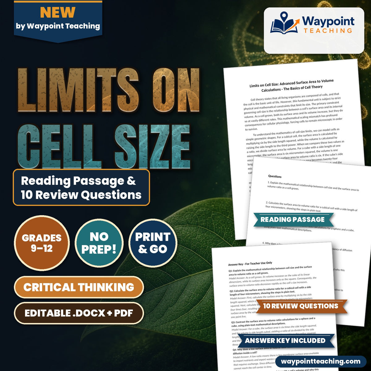 Limits on Cell Size: Advanced Surface Area to Volume Calculations Reading Worksheet cover