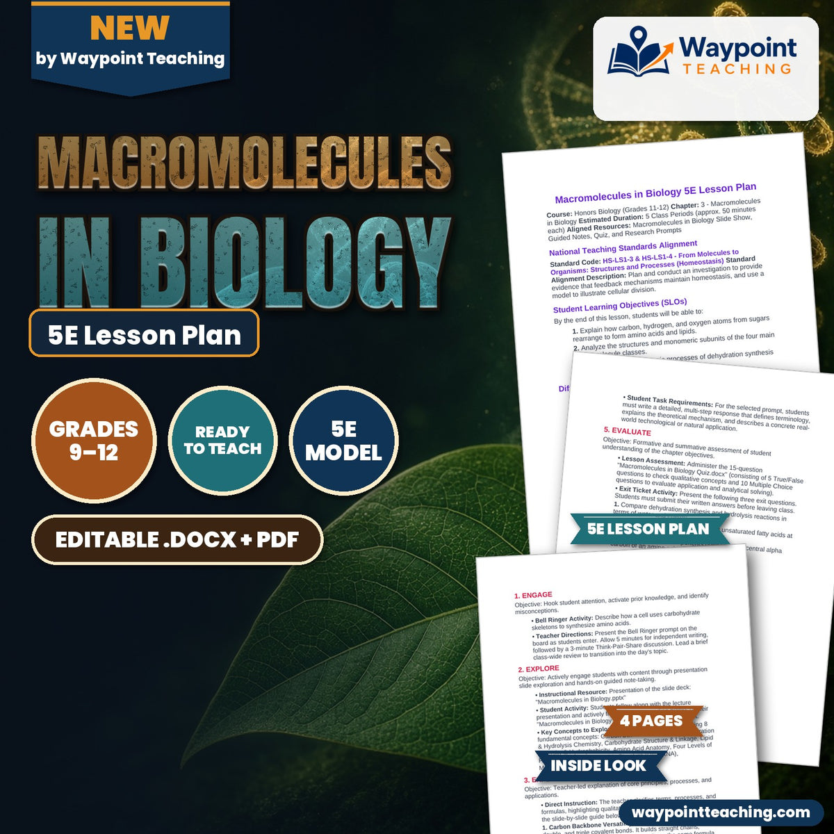 Macromolecules in Biology 5E Lesson Plan cover
