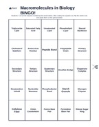 Macromolecules in Biology BINGO Review Game sample page
