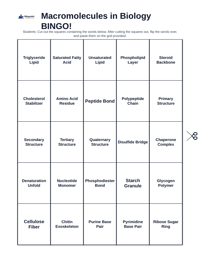 Macromolecules in Biology BINGO Review Game sample page
