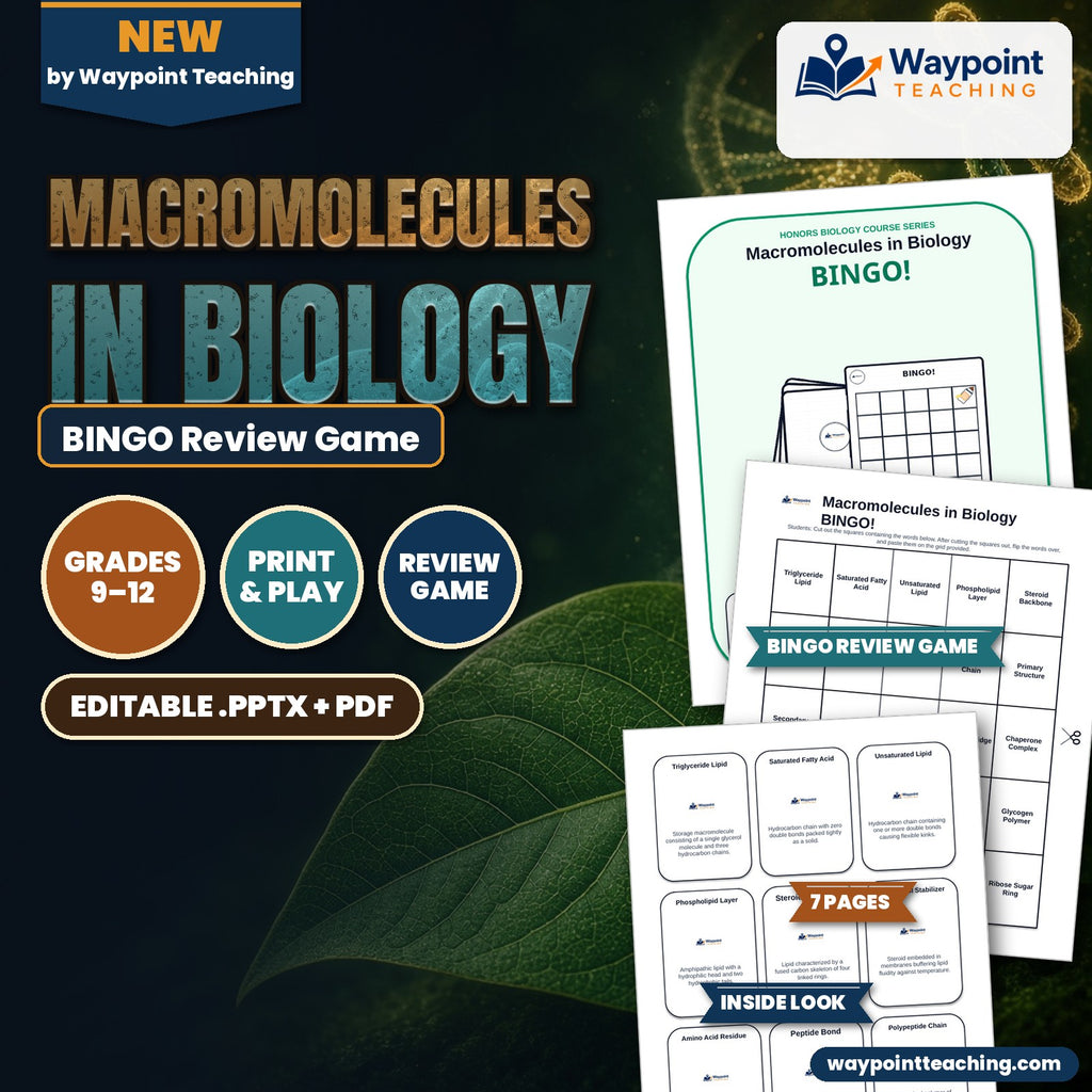 Macromolecules in Biology BINGO Review Game cover