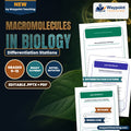 Macromolecules in Biology Differentiation Stations cover