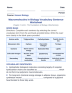 Macromolecules in Biology Fill-in-the-Blank Vocabulary Worksheet sample page