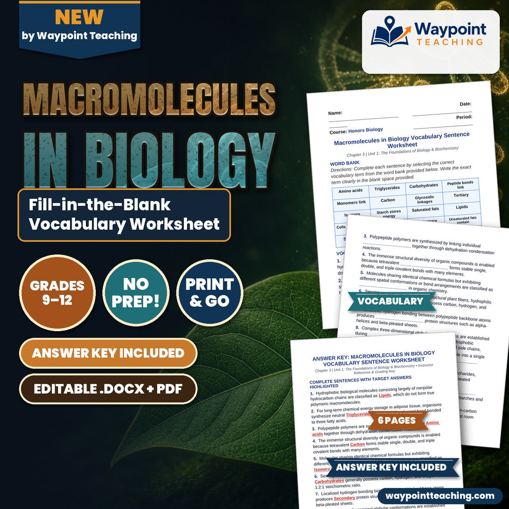 Macromolecules in Biology Fill-in-the-Blank Vocabulary Worksheet cover