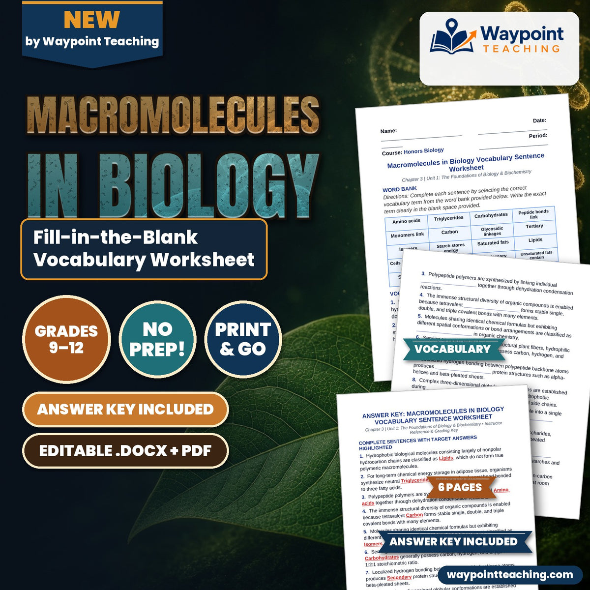Macromolecules in Biology Fill-in-the-Blank Vocabulary Worksheet cover