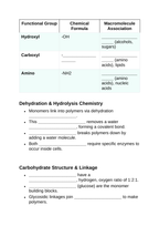 Macromolecules in Biology Guided Notes sample page
