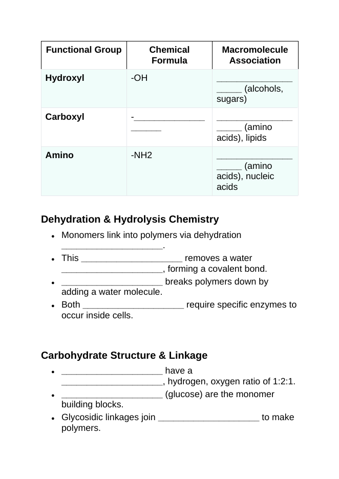 Macromolecules in Biology Guided Notes sample page