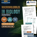 Macromolecules in Biology Guided Notes cover
