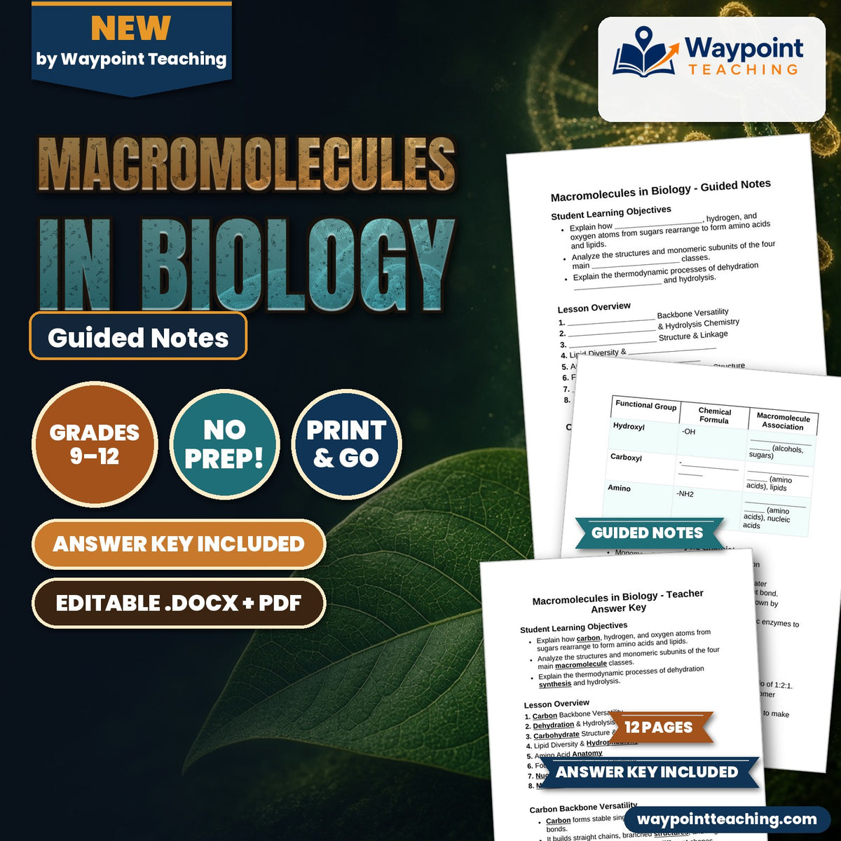 Macromolecules in Biology Guided Notes cover