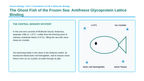 Macromolecules in Biology Phenomena-Based Lesson: The Ghost Fish of the Frozen Sea: Antifreeze Glycoprotein Lattice Binding Presentation sample page