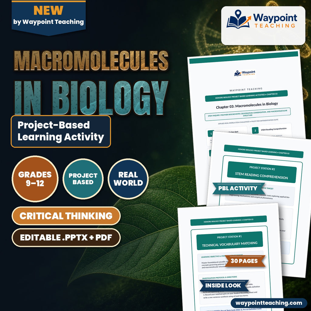 Macromolecules in Biology Project-Based Learning Activity cover