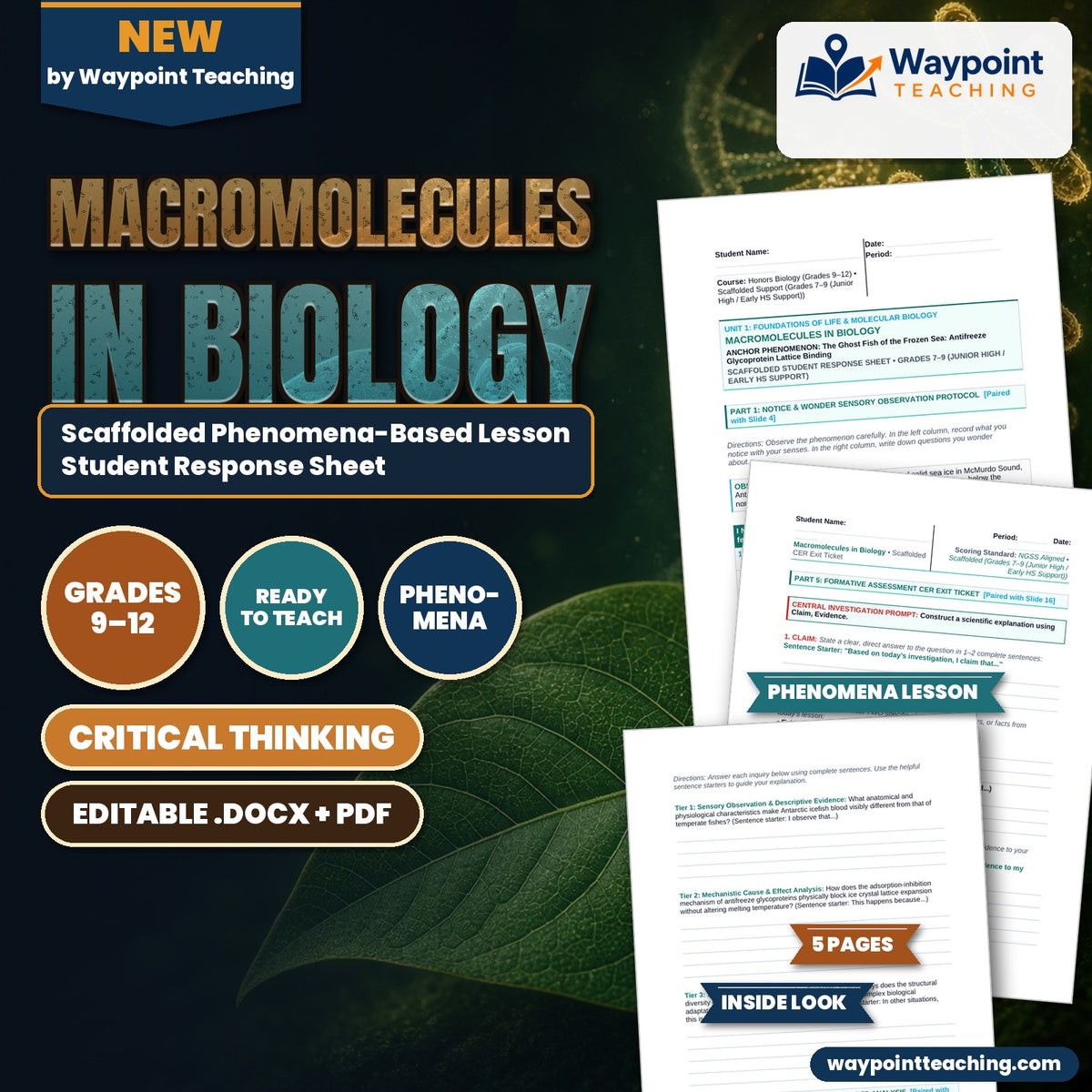 Macromolecules in Biology Scaffolded Phenomena-Based Lesson: The Ghost Fish of the Frozen Sea: Antifreeze Glycoprotein Lattice Binding Student Response Sheet cover