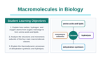 Macromolecules in Biology Slide Show Presentation sample page