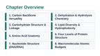 Macromolecules in Biology Slide Show Presentation sample page