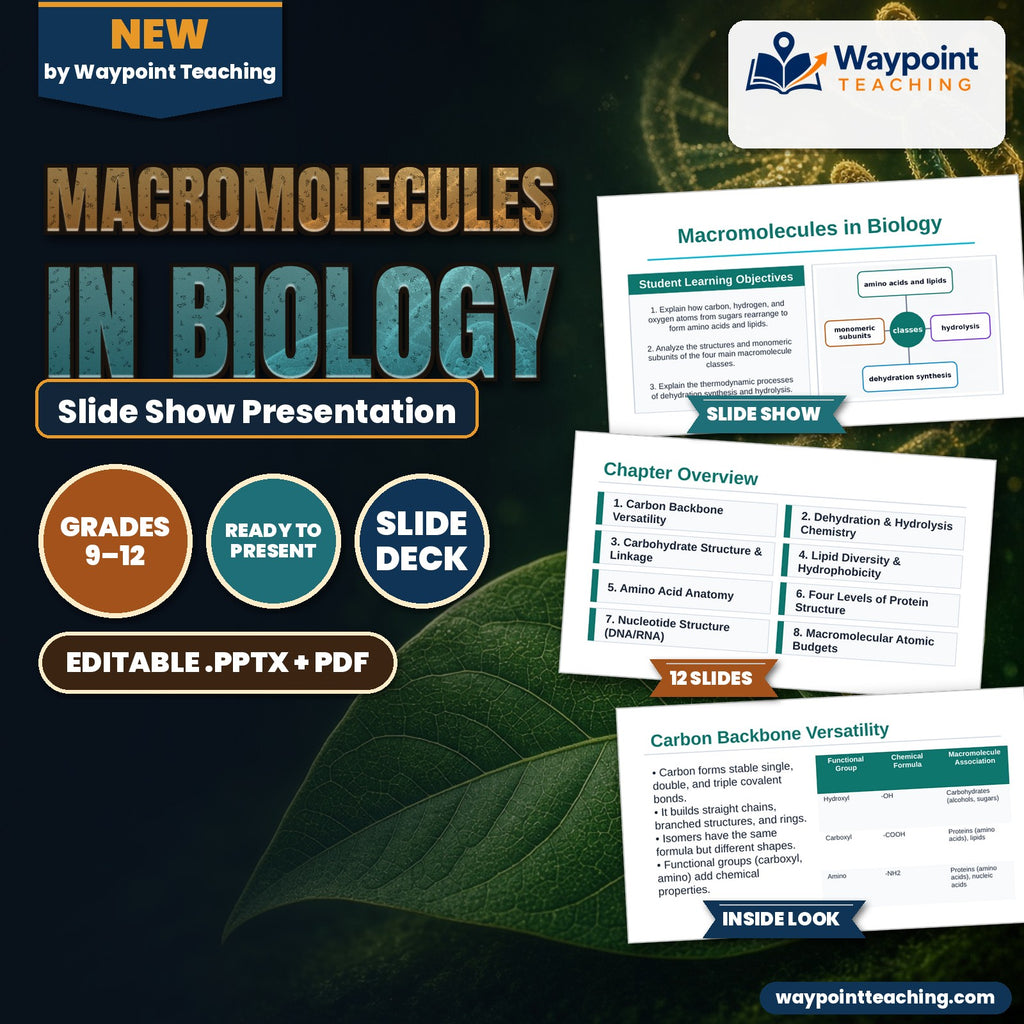 Macromolecules in Biology Slide Show Presentation cover