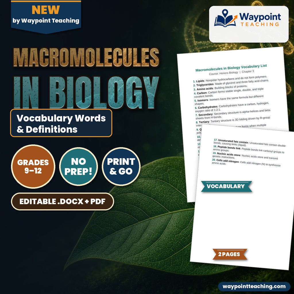 Macromolecules in Biology Vocabulary Words & Definitions cover