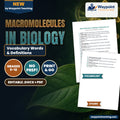 Macromolecules in Biology Vocabulary Words & Definitions cover